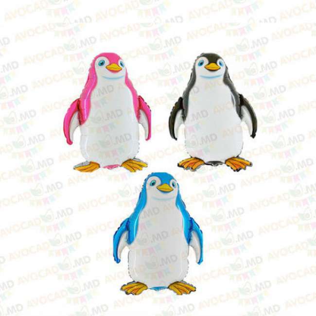 Pinguin 14